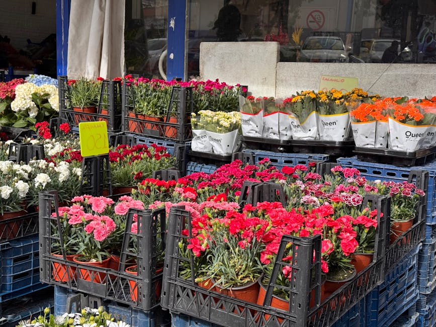An outdoor display of various potted flowering plants arranged in black crate trays on a sidewalk florist stall. The arrangement includes pink and red carnations, white and red geraniums, and orange m